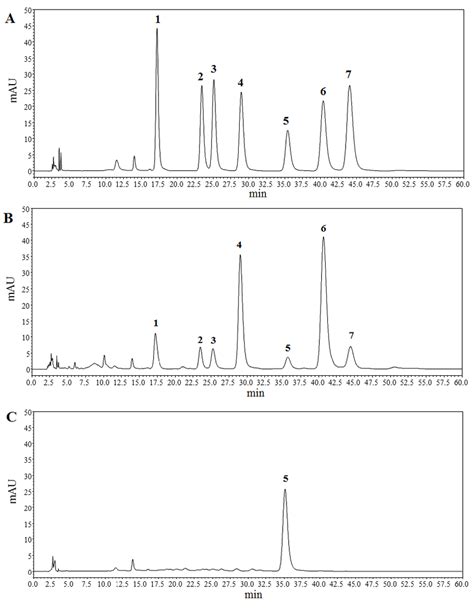 chromatograms|Chromatography .
